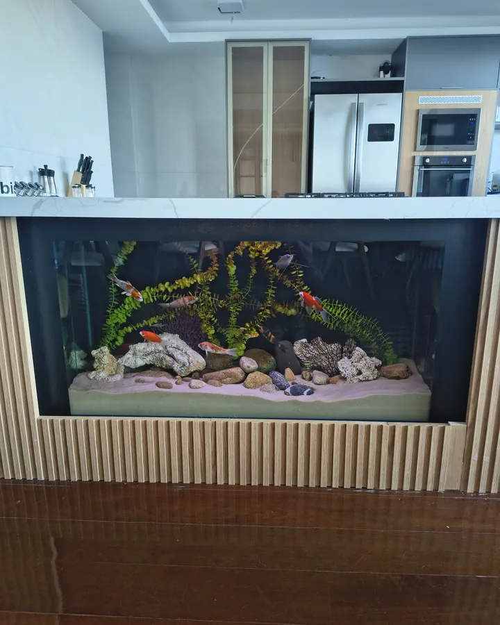 O aquário embutido na ilha da cozinha, de frente