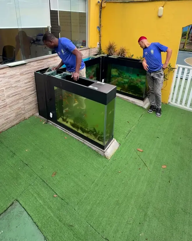 Equipe montando os aquários em U no pátio